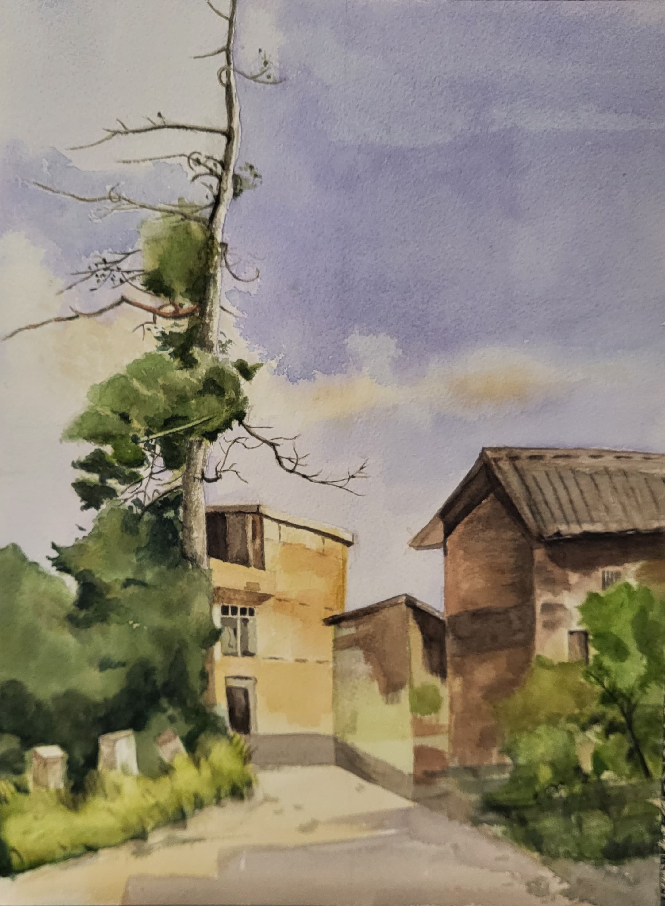 나무가 있는 풍경