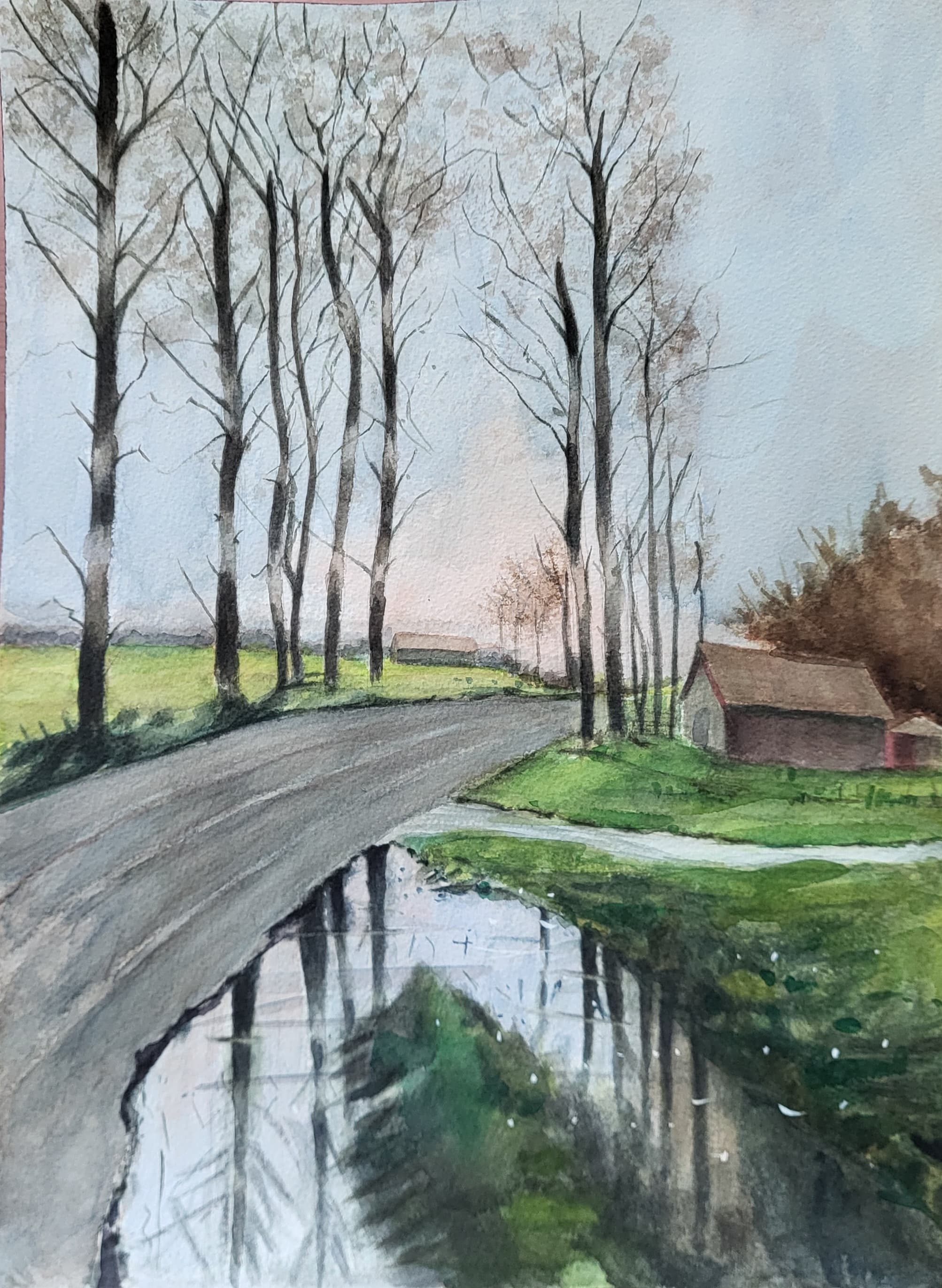 흐린 날 가로수 